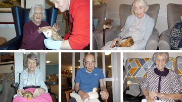 Feathered and furry friends visit Ayr care home